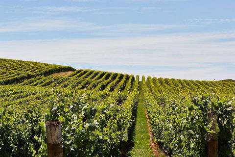 West Tamar Wine Tour - Southport Accommodation 2
