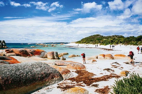 Wineglass Bay Private Charter Service - Southport Accommodation 3