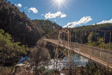 Launceston Private Charter Service - Southport Accommodation 5