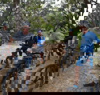 Fully guided E-Mountain Bike Tour on the beautiful Mornington Peninsula. - Southport Accommodation