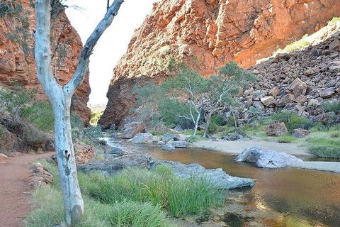 Alice Springs, Uluru Ayers Rock & Kings Canyon 8 Days Touring Package - Southport Accommodation 2