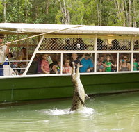 Hartley's Crocodile Adventure Half-Day Tour - Southport Accommodation