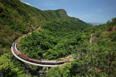 Skyrail Rainforest Cableway Day Trip From Cairns - Southport Accommodation 5