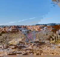 The Amazing Kings Canyon 4-Hours Walking Tour and Hike - Accommodation Southport