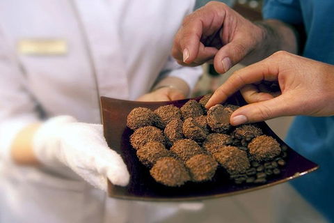 Explore Adelaide City Tour: Haigh's Tasting Chocolate & Adelaide Oval Tour - Southport Accommodation 2