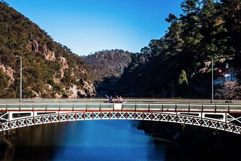 3.5 Hours Walking Tour To Cataract Gorge With Local Guide - Accommodation Southport 4