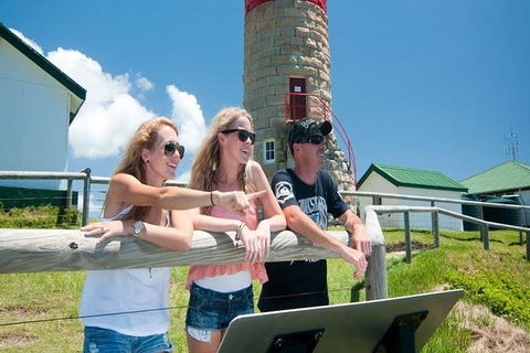 Full-Day Moreton Island 4x4 Sightseeing Tour - Southport Accommodation 3
