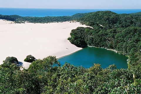 Full-Day Moreton Island 4x4 Sightseeing Tour - Southport Accommodation 5