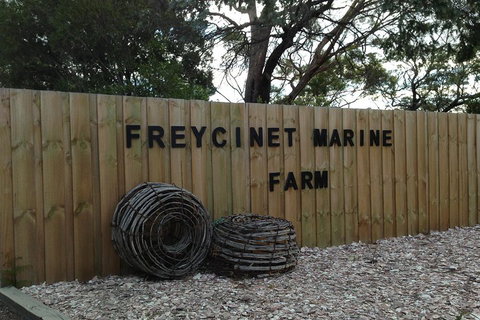 Active Day Tour One-Way From Launceston To Hobart Via Wineglass Bay - Accommodation Southport 3