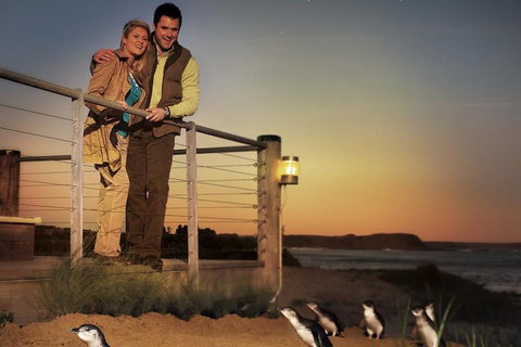 The Ultimate Melbourne Attractions Pass - Accommodation Southport 3