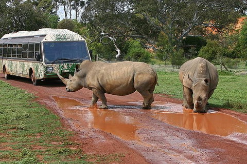 The Ultimate Melbourne Attractions Pass - Accommodation Southport 4