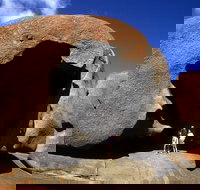 Full-Day Kangaroo Island Safari from Penneshaw - Accommodation Southport