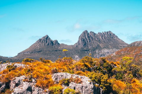 Cradle Mountain National Park Day Tour From Launceston - Southport Accommodation 1