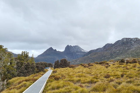 Cradle Mountain National Park Day Tour From Launceston - Southport Accommodation 2