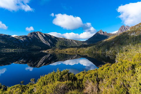 Cradle Mountain National Park Day Tour From Launceston - Southport Accommodation 3
