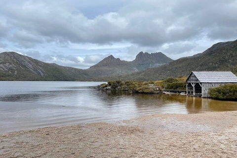 Cradle Mountain National Park Day Tour From Launceston - Southport Accommodation 4