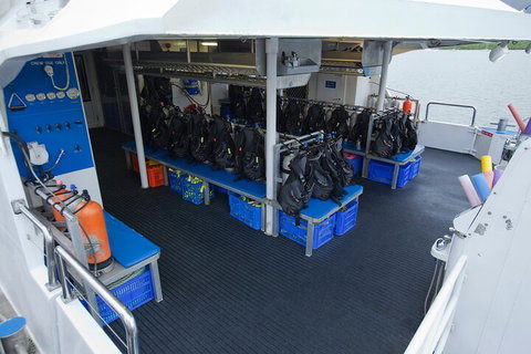 Silverswift Outer Great Barrier Reef Dive And Snorkel Cruise From Cairns - Accommodation Southport 0