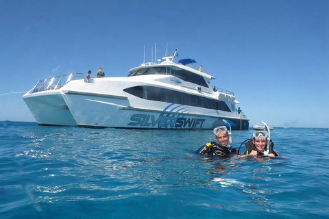 Silverswift Outer Great Barrier Reef Dive And Snorkel Cruise From Cairns - Accommodation Southport 4