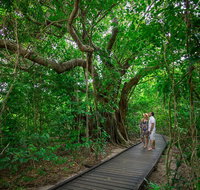 Green Island Eco Adventure from Cairns - Southport Accommodation