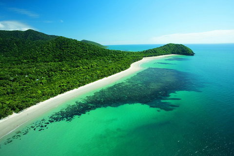 Cape Tribulation, Mossman Gorge, And Daintree Rainforest Day Trip From Cairns Or Port Douglas - Accommodation Southport 2
