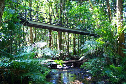 Cape Tribulation, Mossman Gorge, And Daintree Rainforest Day Trip From Cairns Or Port Douglas - Accommodation Southport 3