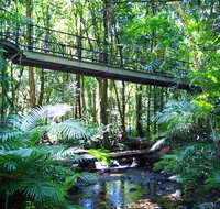 Double Pack-Ancient Rainforest and Waterfalls - Southport Accommodation