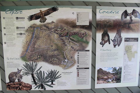 Jumping Crocodile Cruise And Berry Springs Nature Park - Accommodation Southport 2