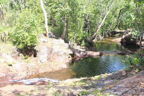 Jumping Crocodile Cruise And Berry Springs Nature Park - Accommodation Southport 3