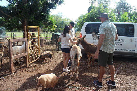 Jumping Crocodile Cruise And Berry Springs Nature Park - Accommodation Southport 4