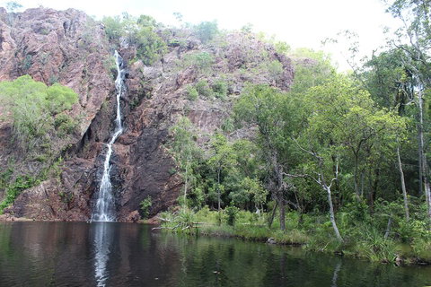 Jumping Crocodile Cruise And Berry Springs Nature Park - Accommodation Southport 5