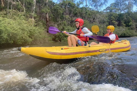 Yarra River Half-Day Rafting Experience - Southport Accommodation 1