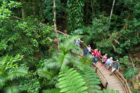 2 Day Daintree Rainforest, Cape Tribulation And Outback Chillagoe Tour - Accommodation Southport 3