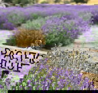 Kangaroo Island Food and Wine Trail Tour - Accommodation Southport