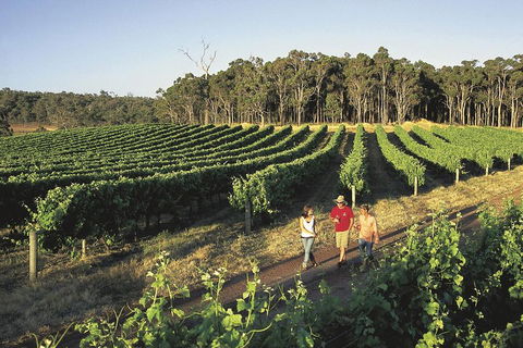 Margaret River, Caves, Wine And Cape Leeuwin Lighthouse Tour From Perth - Southport Accommodation 1