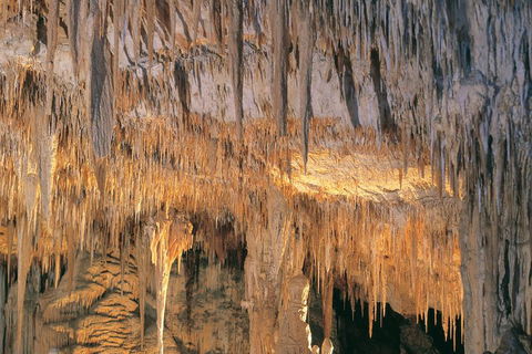 Margaret River, Caves, Wine And Cape Leeuwin Lighthouse Tour From Perth - Southport Accommodation 3