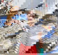 Pinnacles Desert Koalas and Sandboarding 4WD Day Tour from Perth - Accommodation Southport