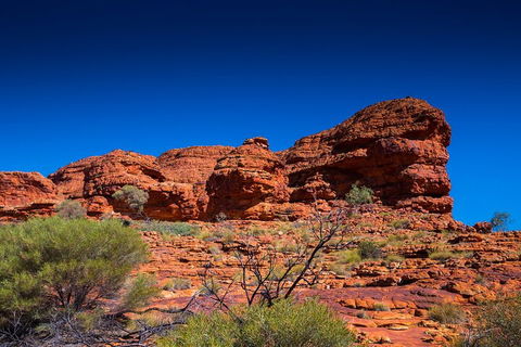 7-Day Guided Tour Of Alice Springs With Accommodation Included - Southport Accommodation 4