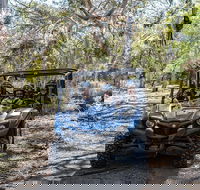Small-Group Buggy Tour at Little Sahara with Guide - Accommodation Southport