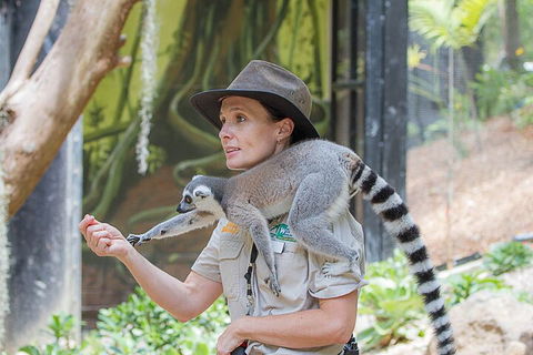 Currumbin Wildlife Sanctuary General Entry Ticket - Southport Accommodation 1