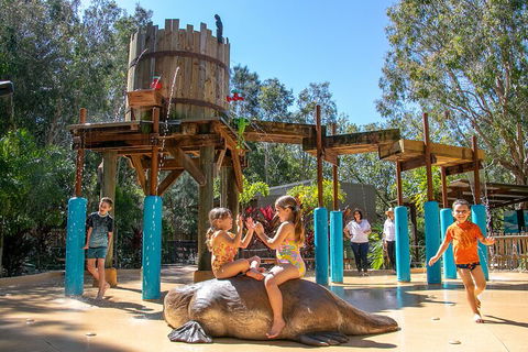 Currumbin Wildlife Sanctuary General Entry Ticket - Southport Accommodation 5