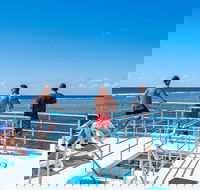 Calypso Outer Great Barrier Reef Cruise from Port Douglas - Accommodation Southport