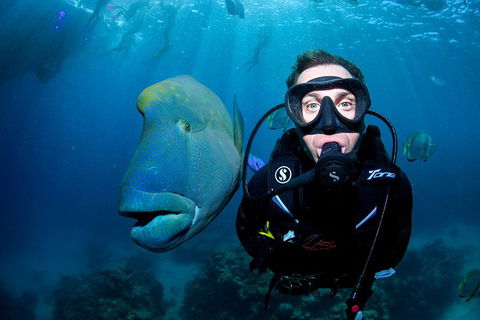 Full Day Reef Cruise Including 10 Minute Heli Scenic Flight: Get High Package - Accommodation Southport 1