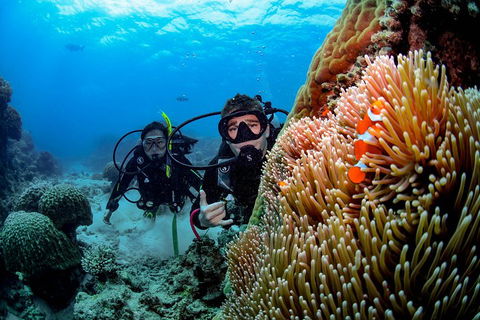 Full Day Reef Cruise Including 10 Minute Heli Scenic Flight: Get High Package - Accommodation Southport 5