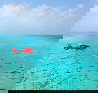 Port Douglas Scenic Flights - Accommodation Southport