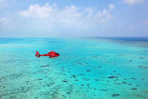 Ultimate Great Barrier Reef And Rainforest 45-minute Helicopter Tour - Southport Accommodation 2