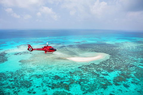 Ultimate Great Barrier Reef And Rainforest 45-minute Helicopter Tour - Southport Accommodation 3