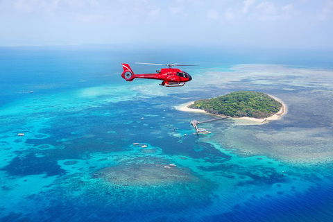 Ultimate Great Barrier Reef And Rainforest 45-minute Helicopter Tour - Southport Accommodation 4