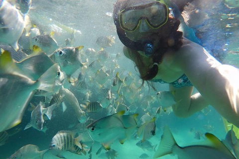 2-Day Moreton Island 4WD Camping Tour From Brisbane - Accommodation Southport 0