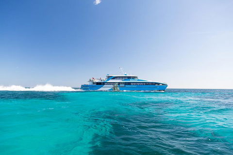 Rottnest Island All-Inclusive Grand Island Tour From Fremantle - Southport Accommodation 0