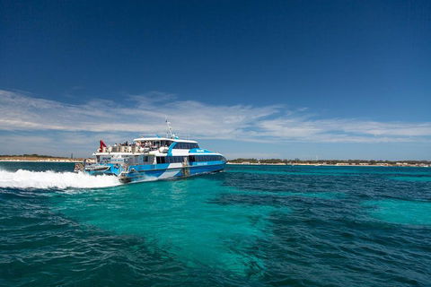 Rottnest Island All-Inclusive Grand Island Tour From Fremantle - Southport Accommodation 3
